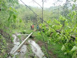 HUJAN LEBAT SENIN SORE, POHON TUMBANG HINGGA BEBERAPA JARINGAN LISTRIK TERPUTUS